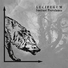 Lucifugum - Instinct Prevelance