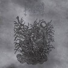 Lucifugum - Vector33