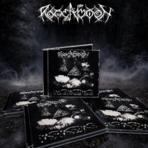 Rotten Moon - In The Vale Of Astral Graves