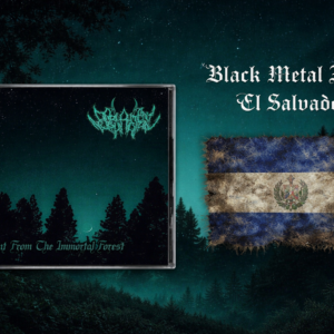 Darlament Norvadian - Silent From The Immortal Forest