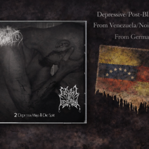 Nebeltod/Beyond Of Desolation - 2 Depressive Ways To Die