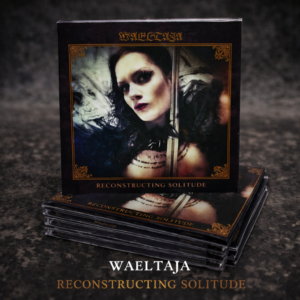 Waeltaja - Reconstructing Solitude