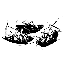 Blattaria ‎– Dream, Dwell, Die
