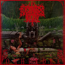 Tusenårseken - Omhuldra