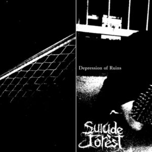 Suicide Forest/A.V.D.L. - Depression Of Ruins