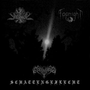 Czarnobog/Waldseel/Fognight - Schattengeflecht