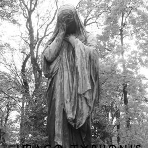 Dark Awake - Imago Typhonis